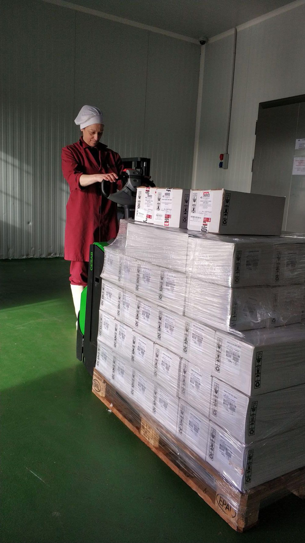 Transpaleta CESAB P214